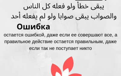 Цитата об ошибках